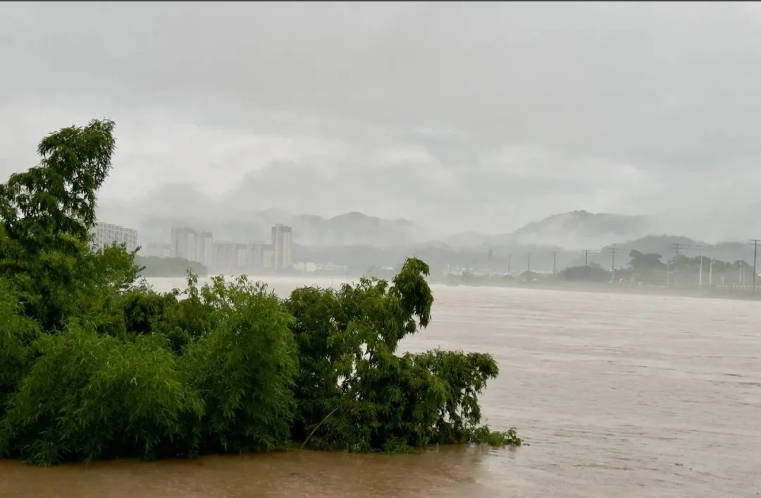 黃山歙縣突發(fā)洪水被淹！近百家企業(yè)受到影響！原材料或?qū)嘭涬y采購(gòu)